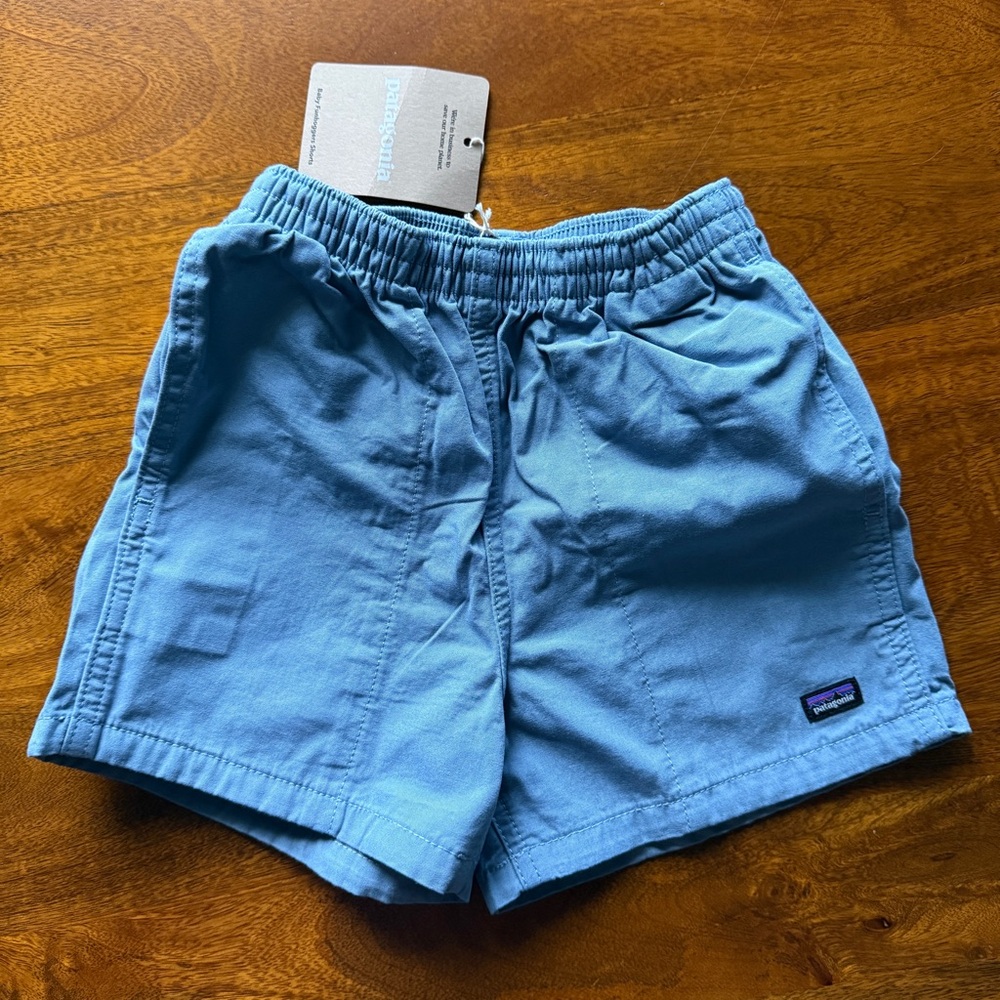 Patagonia Blue Funhogger Shorts